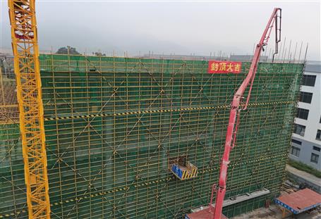 【提升“三力” 爭創(chuàng)佳績】第九分公司項目主體結構順利封頂