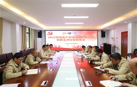 廖立波、唐峰、何勇以普通黨員身份參加所在黨支部2022年度組織生活會(huì)