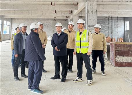 覃振華到鹿寨項目開展節(jié)后復工復產檢查